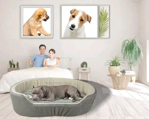 Ultra Soft Orthopedic Dog Bed